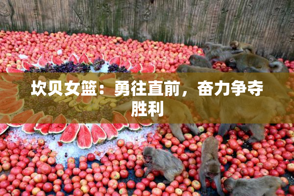 坎贝女篮：勇往直前，奋力争夺胜利