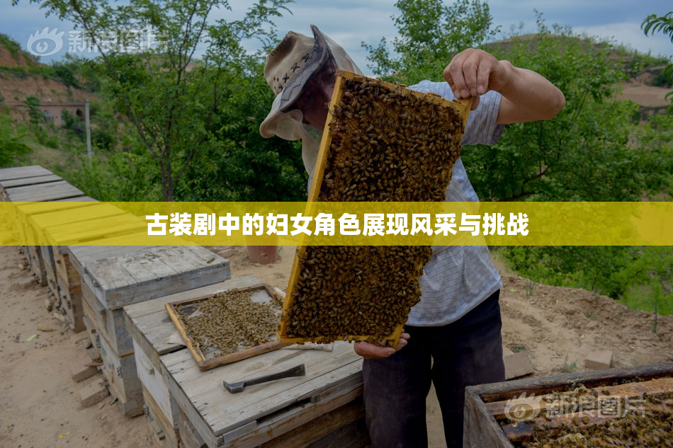 古装剧中的妇女角色展现风采与挑战