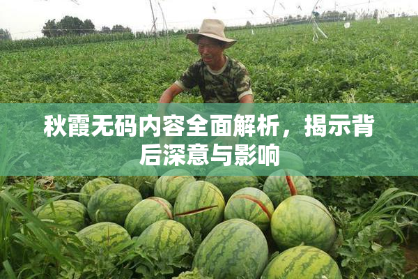 秋霞无码内容全面解析，揭示背后深意与影响