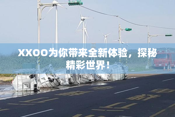 XXOO为你带来全新体验，探秘精彩世界！