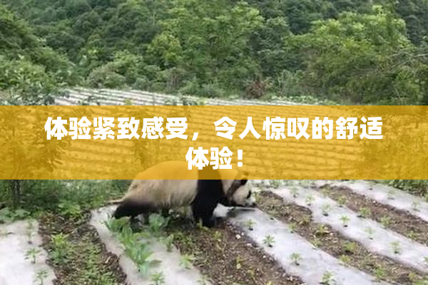 体验紧致感受，令人惊叹的舒适体验！