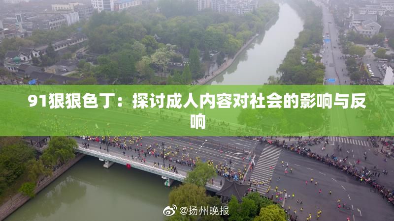 91狠狠色丁：探讨成人内容对社会的影响与反响