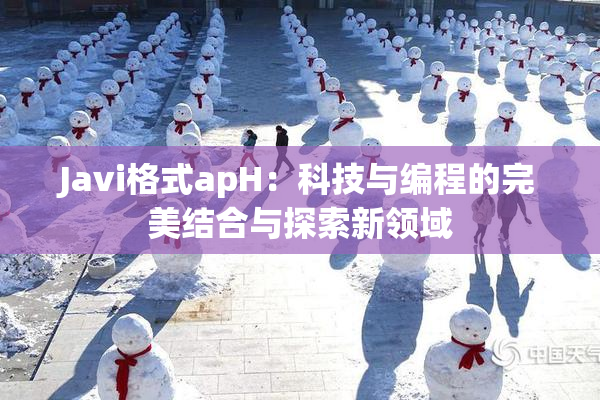 Javi格式apH：科技与编程的完美结合与探索新领域