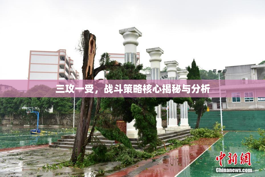 三攻一受，战斗策略核心揭秘与分析