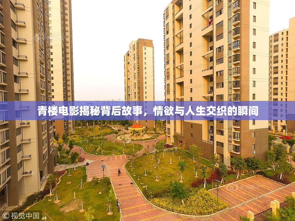 青楼电影揭秘背后故事，情欲与人生交织的瞬间