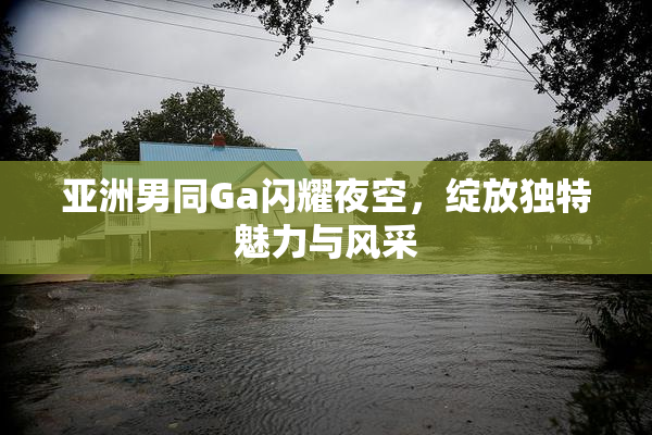 亚洲男同Ga闪耀夜空，绽放独特魅力与风采
