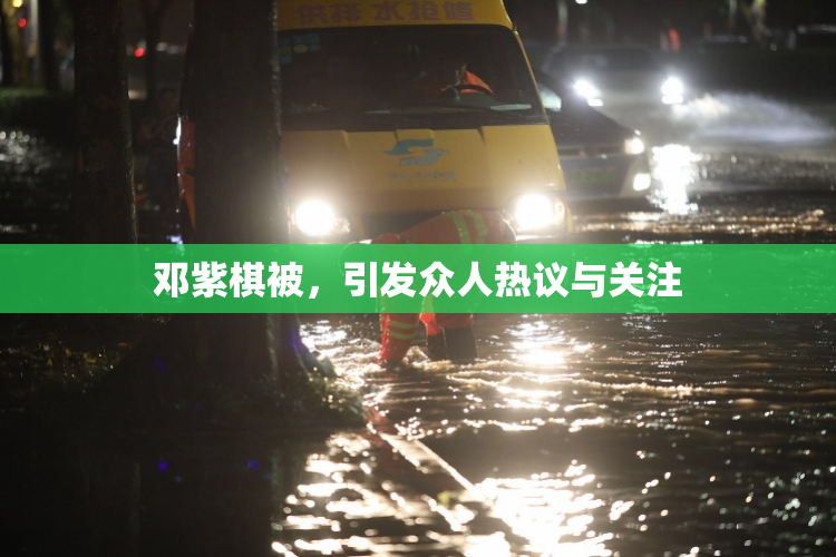 邓紫棋被，引发众人热议与关注