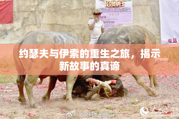 约瑟夫与伊索的重生之旅，揭示新故事的真谛