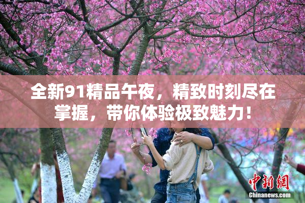全新91精品午夜，精致时刻尽在掌握，带你体验极致魅力！
