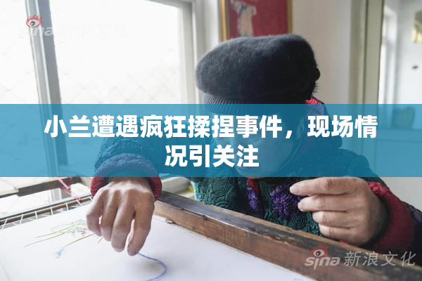 小兰遭遇疯狂揉捏事件，现场情况引关注