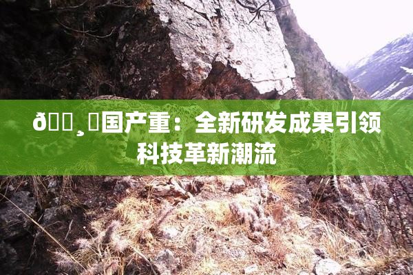 🌸‌国产重：全新研发成果引领科技革新潮流