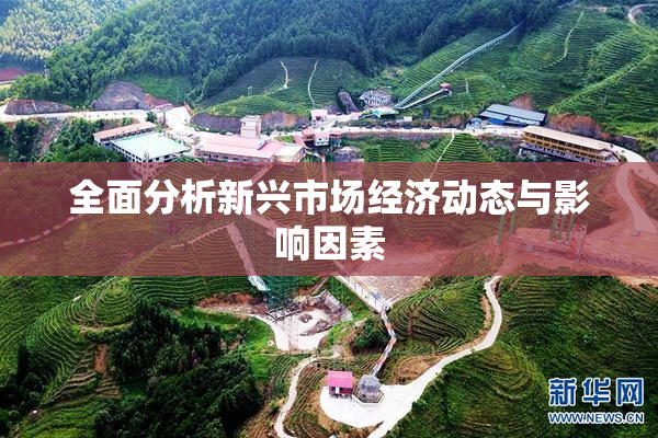 全面分析新兴市场经济动态与影响因素
