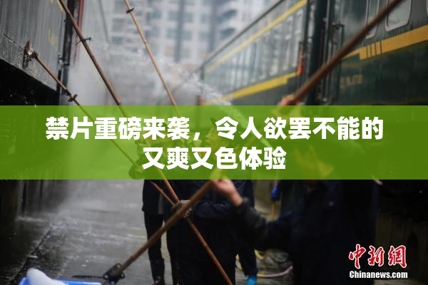 禁片重磅来袭，令人欲罢不能的又爽又色体验