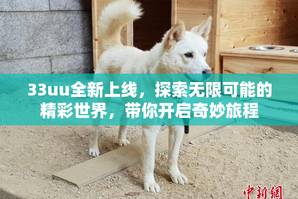 33uu全新上线，探索无限可能的精彩世界，带你开启奇妙旅程