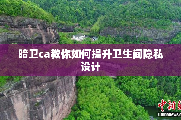 暗卫ca教你如何提升卫生间隐私设计