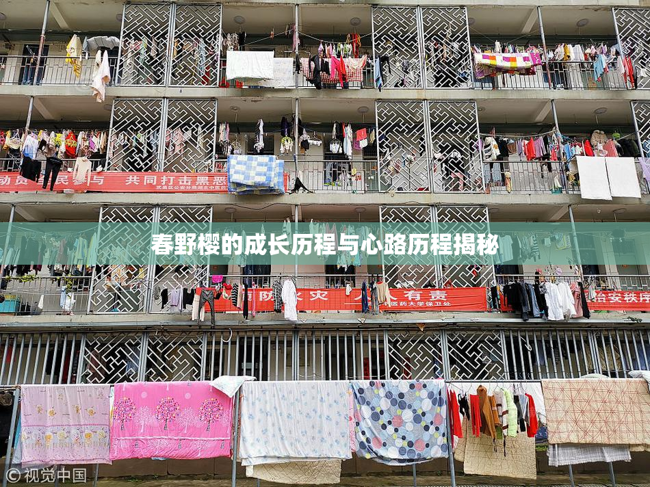春野樱的成长历程与心路历程揭秘