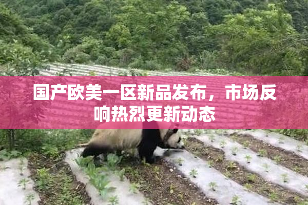 国产欧美一区新品发布，市场反响热烈更新动态