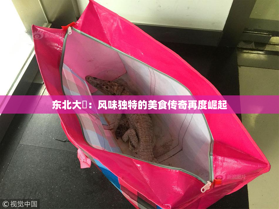 东北大鷄：风味独特的美食传奇再度崛起