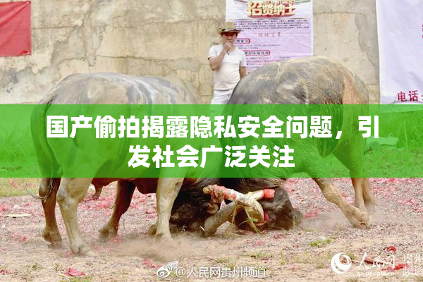国产偷拍揭露隐私安全问题，引发社会广泛关注