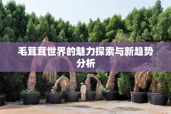 毛茸茸世界的魅力探索与新趋势分析