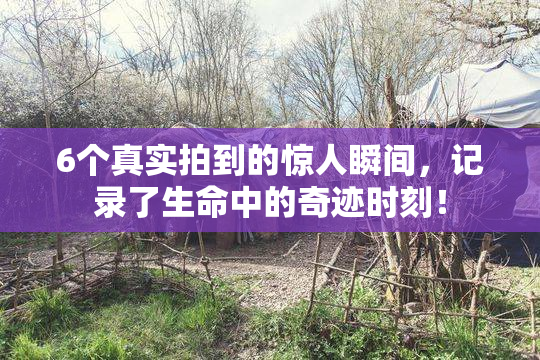 6个真实拍到的惊人瞬间，记录了生命中的奇迹时刻！