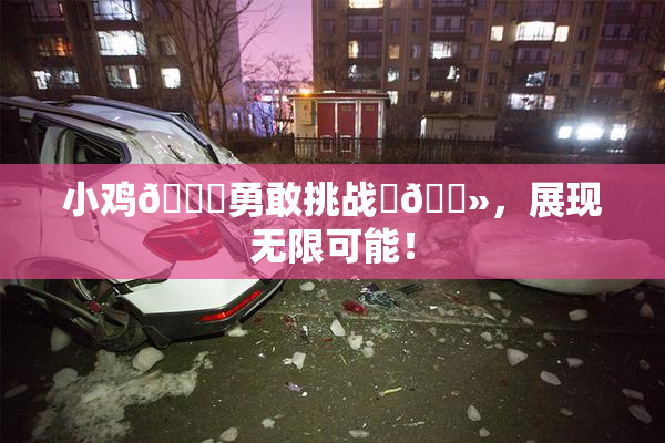 小鸡🐔勇敢挑战‌🐻，展现无限可能！