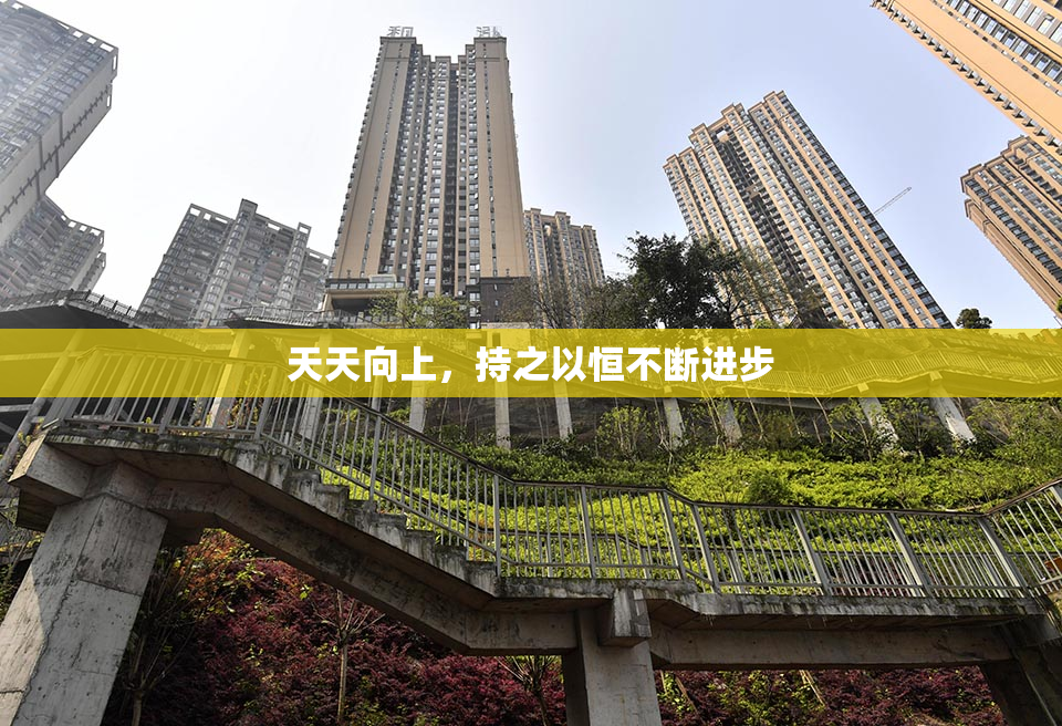 天天向上，持之以恒不断进步