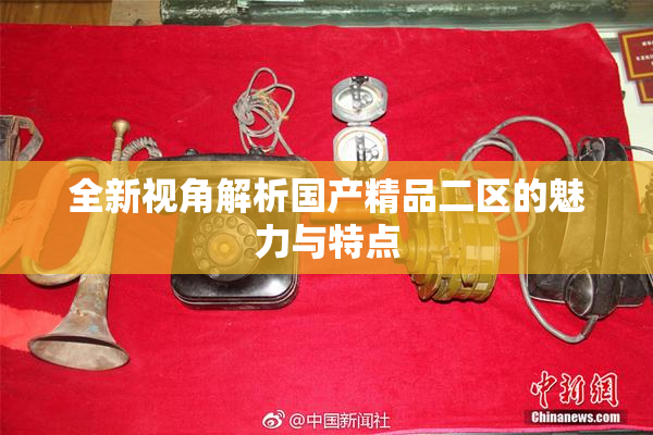 全新视角解析国产精品二区的魅力与特点