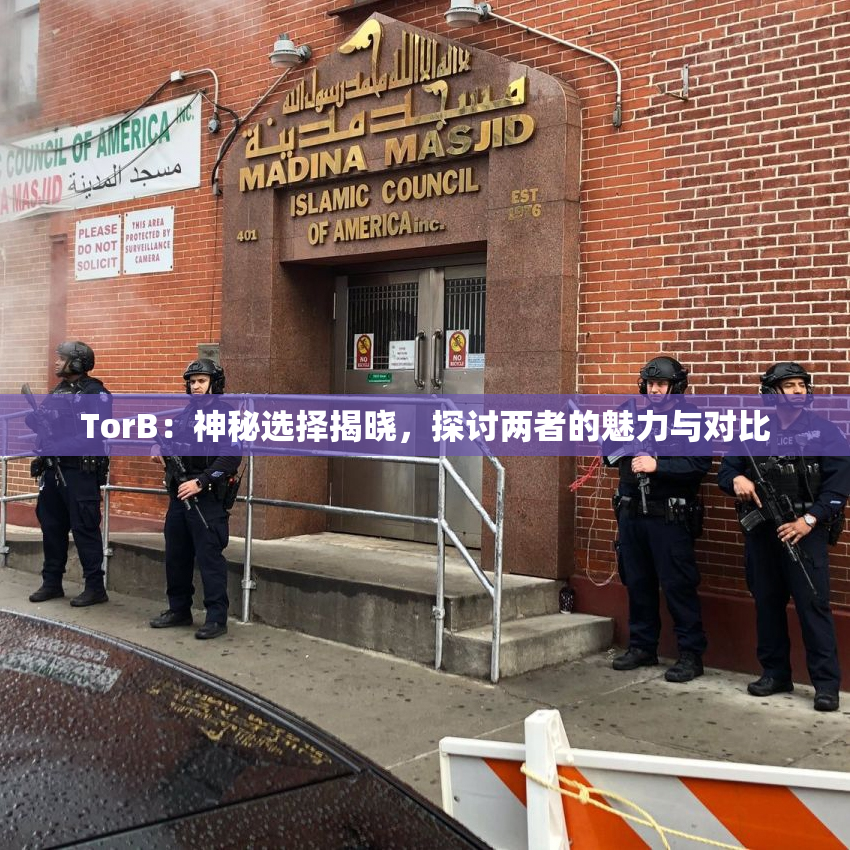 TorB：神秘选择揭晓，探讨两者的魅力与对比