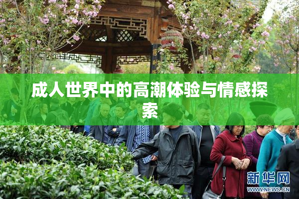 成人世界中的高潮体验与情感探索