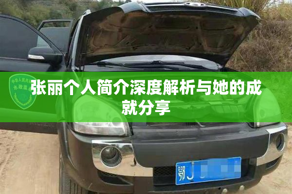 张丽个人简介深度解析与她的成就分享