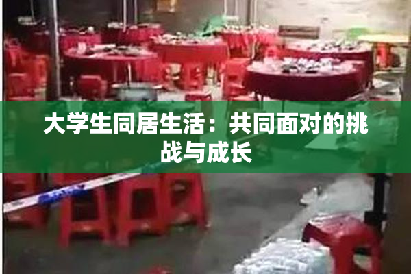 大学生同居生活：共同面对的挑战与成长