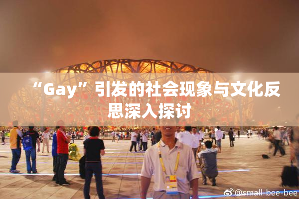 “Gay”引发的社会现象与文化反思深入探讨
