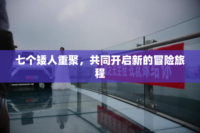 七个矮人重聚，共同开启新的冒险旅程