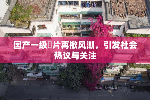 国产一级婬片再掀风潮，引发社会热议与关注