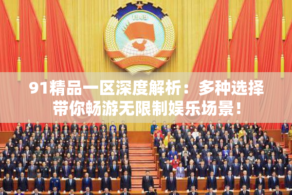 91精品一区深度解析：多种选择带你畅游无限制娱乐场景！