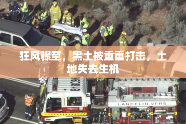 狂风骤至，黑土被重重打击，土地失去生机