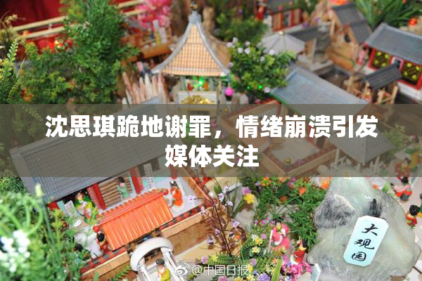 沈思琪跪地谢罪，情绪崩溃引发媒体关注
