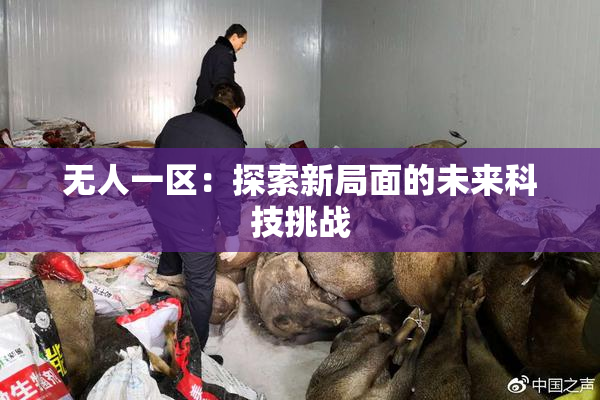 无人一区：探索新局面的未来科技挑战