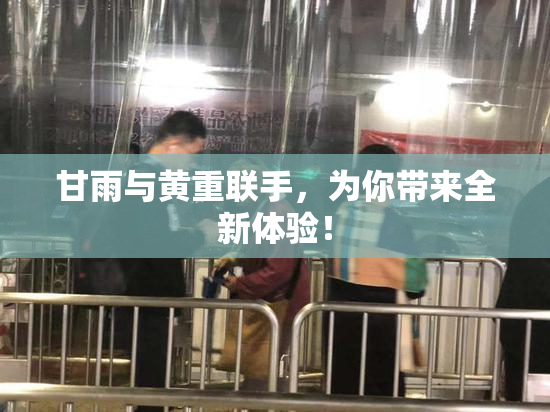 甘雨与黄重联手，为你带来全新体验！