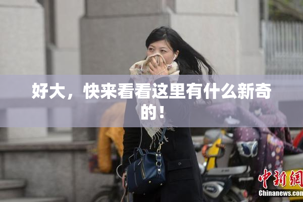 好大，快来看看这里有什么新奇的！