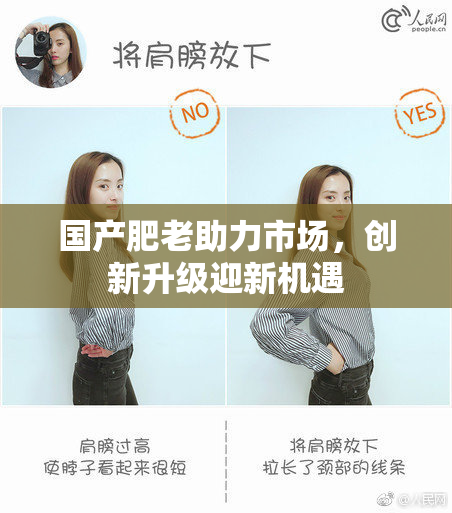 国产肥老助力市场，创新升级迎新机遇