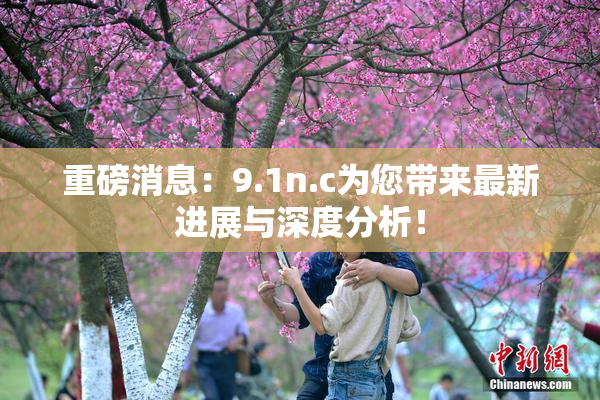 重磅消息：9.1n.c为您带来最新进展与深度分析！