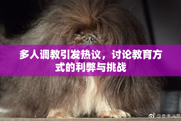 多人调教引发热议，讨论教育方式的利弊与挑战