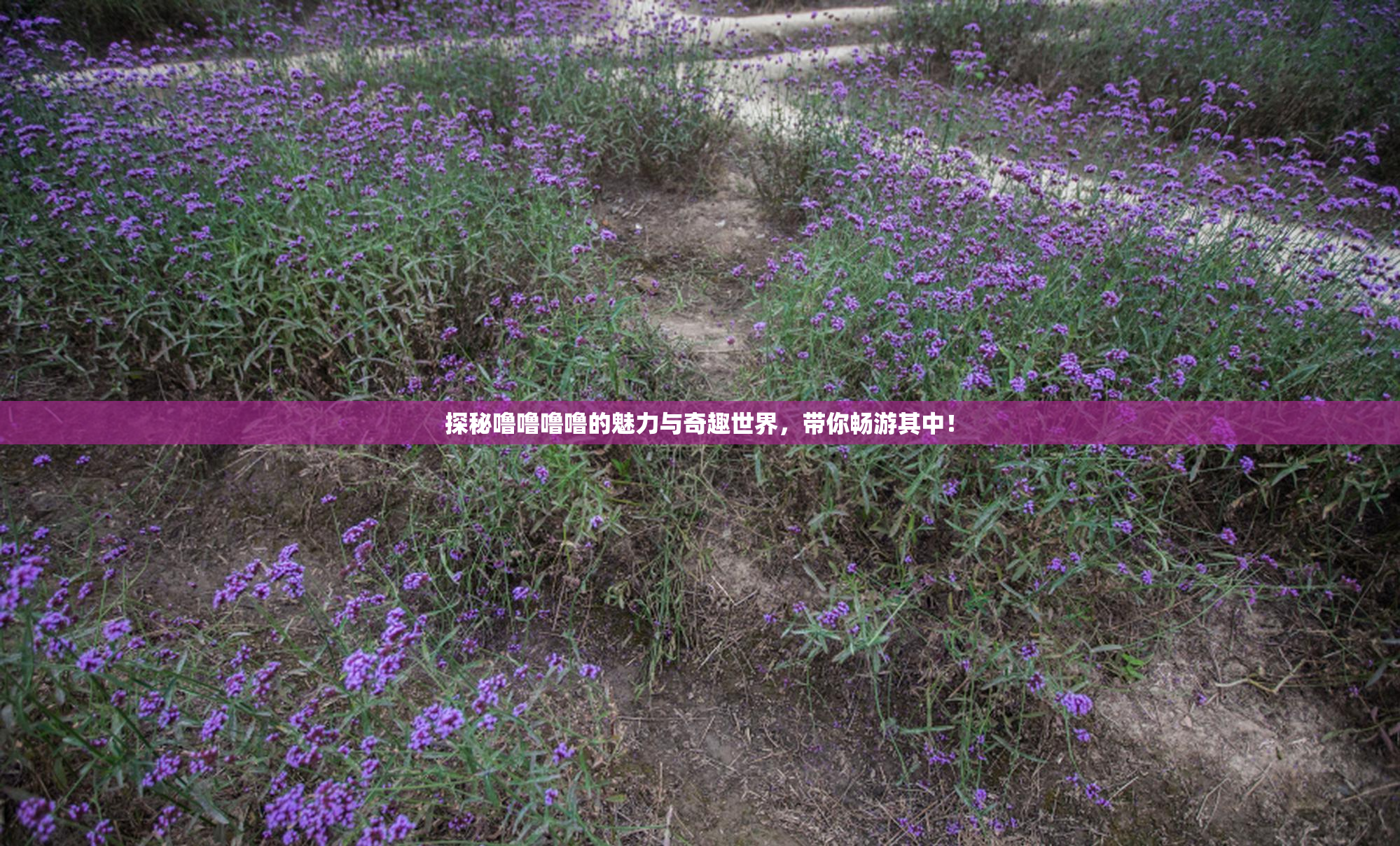 探秘噜噜噜噜的魅力与奇趣世界，带你畅游其中！