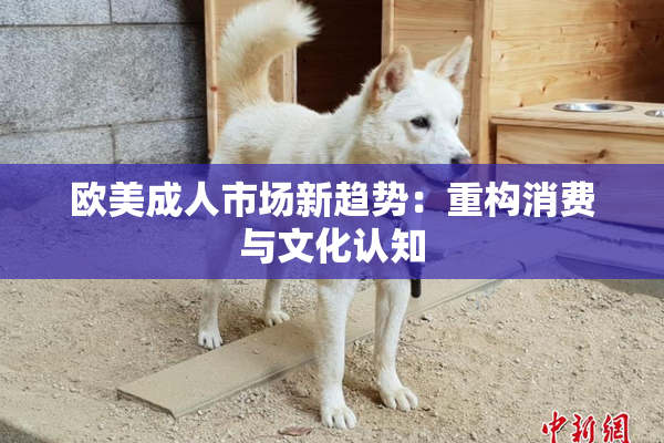 欧美成人市场新趋势：重构消费与文化认知