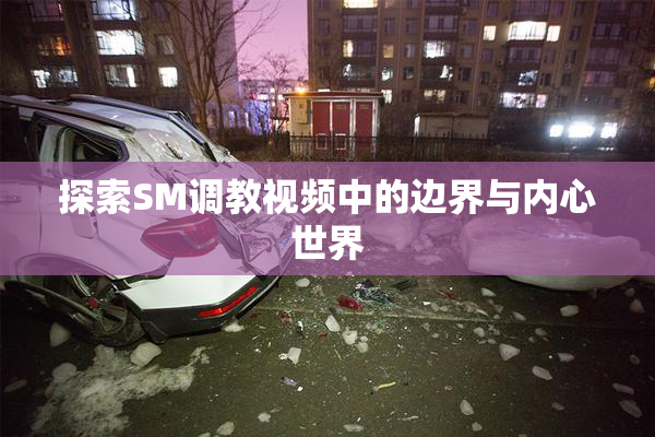 探索SM调教视频中的边界与内心世界