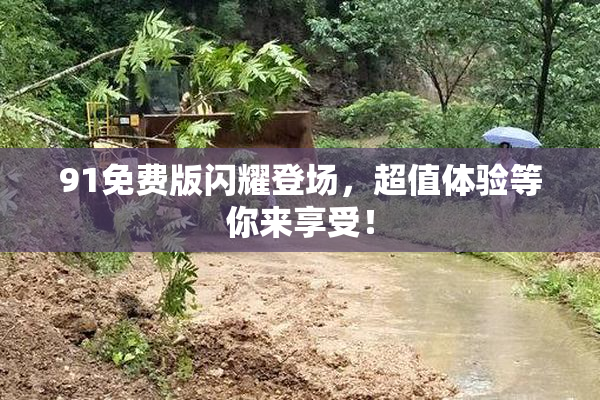 91免费版闪耀登场，超值体验等你来享受！