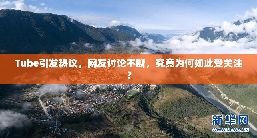 Tube引发热议，网友讨论不断，究竟为何如此受关注？