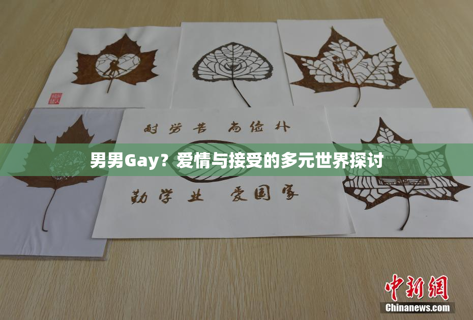 男男Gay？爱情与接受的多元世界探讨